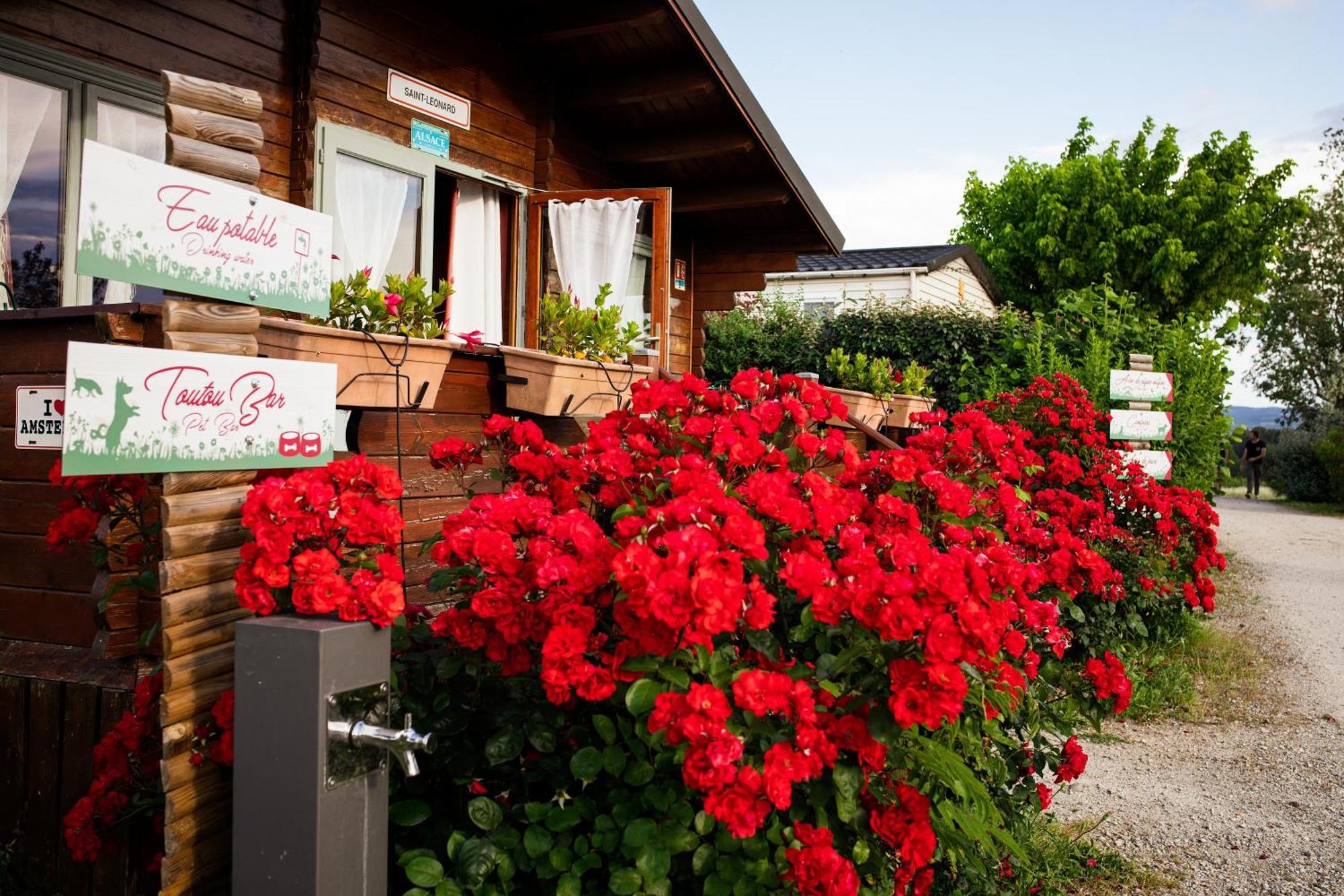 L'escale Occitane Camping