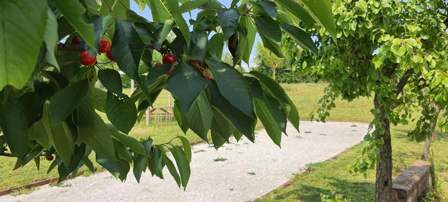 Camping L'escale Occitane *